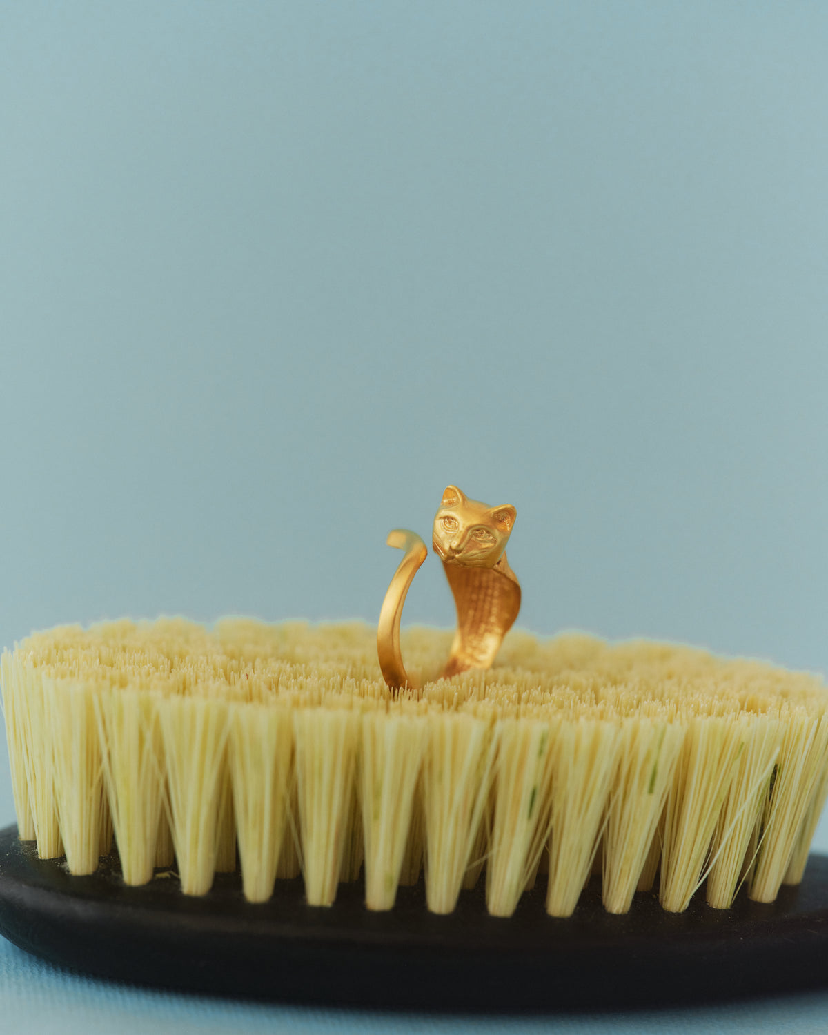MİSKET 18k gold-plated sterling silver cat ring in a still life from EFEK’s Cats of Istanbul collection
