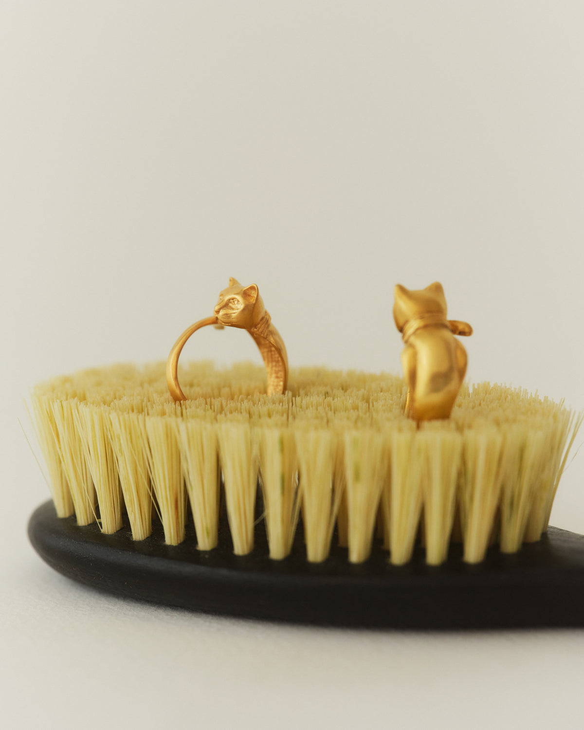MİSKET 18k gold-plated sterling silver cat ring in a still life from EFEK’s Cats of Istanbul collection