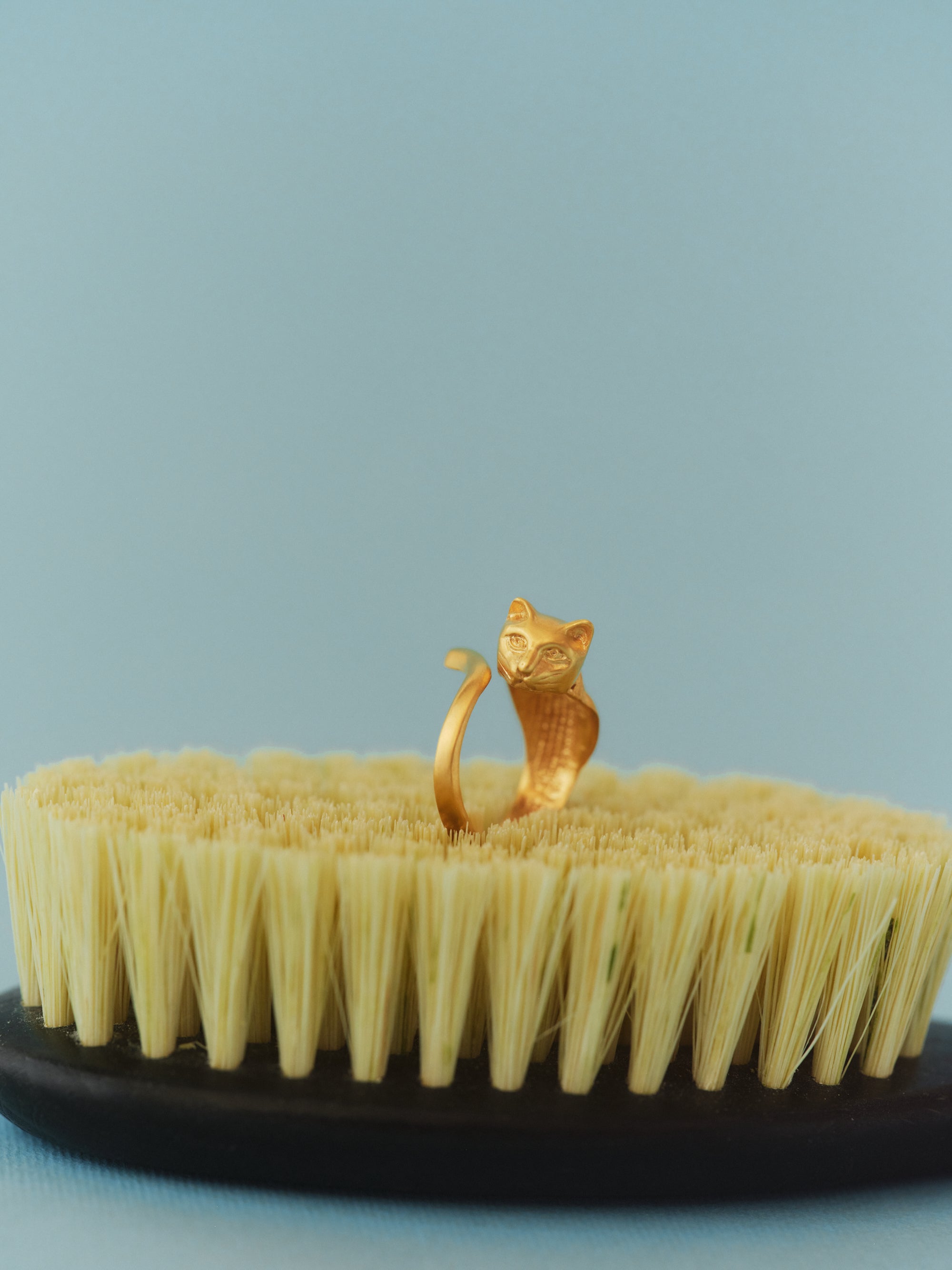 MİSKET 18k gold-plated sterling silver cat ring in a still life from EFEK’s Cats of Istanbul collection