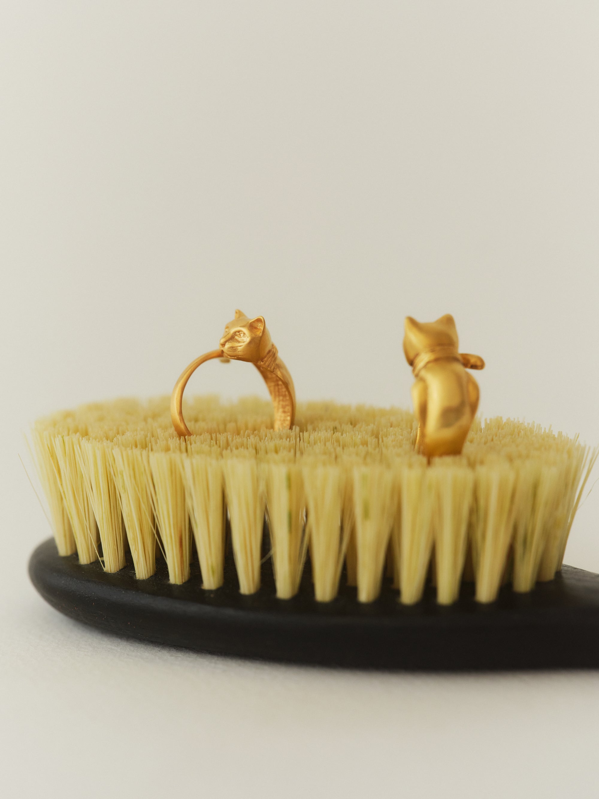 MİSKET 18k gold-plated sterling silver cat ring in a still life from EFEK’s Cats of Istanbul collection